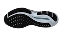 Pánska bežecká obuv Mizuno Wave Inspire 19 2E Black/Glacial Ridge/Illusion Blue