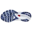 Pánska bežecká obuv Mizuno  Wave Sky 5 Blackened Pearl