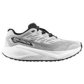 Pánska bežecká obuv Salomon Aero Blaze 3 GRVL Lunar Rock/White/Black