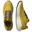 Pánska bežecká obuv Salomon Aero Blaze 3 GRVL Spicy Mustard/Vanilla Ice/Nautical Blue