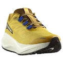 Pánska bežecká obuv Salomon Aero Blaze 3 GRVL Spicy Mustard/Vanilla Ice/Nautical Blue