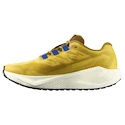 Pánska bežecká obuv Salomon Aero Blaze 3 GRVL Spicy Mustard/Vanilla Ice/Nautical Blue