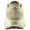 Pánska bežecká obuv Salomon Aero Glide 3 GRVL Green Haze/Vanilla Ice/Russet