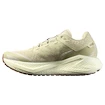 Pánska bežecká obuv Salomon Aero Glide 3 GRVL Green Haze/Vanilla Ice/Russet