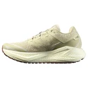Pánska bežecká obuv Salomon Aero Glide 3 GRVL Green Haze/Vanilla Ice/Russet