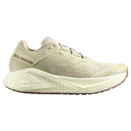 Pánska bežecká obuv Salomon Aero Glide 3 GRVL Green Haze/Vanilla Ice/Russet