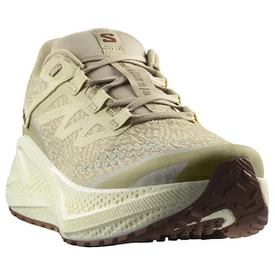 Pánska bežecká obuv Salomon Aero Glide 3 GRVL Green Haze/Vanilla Ice/Russet