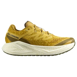 Pánska bežecká obuv Salomon Aero Glide 3 GRVL Spicy Mustard/Vanilla Ice/Deep Lichen Green