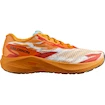 Pánska bežecká obuv Salomon  AERO VOLT  UK 10,5