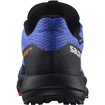 Pánska bežecká obuv Salomon  Pulsar Trail GTX Dazzling Blue