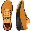 Pánska bežecká obuv Salomon  Pulsar Trail/Pro Marmalade