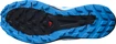 Pánska bežecká obuv Salomon Sense Ride Blue Aster