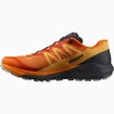 Pánska bežecká obuv Salomon Sense Ride Sense Ride 4 Vibrant Orange / Ebony