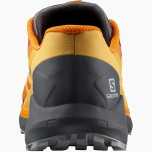 Pánska bežecká obuv Salomon Sense Ride Sense Ride 4 Vibrant Orange / Ebony