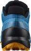Pánska bežecká obuv Salomon Speedcross 5 Crystal Teal