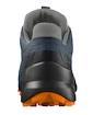Pánska bežecká obuv Salomon Speedcross 5 GTX Mallard Blue/Wrought Iron