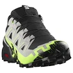 Pánska bežecká obuv Salomon Speedcross 6 Gore-Tex Black/Alloy/Green Gecko