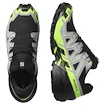 Pánska bežecká obuv Salomon Speedcross 6 Gore-Tex Black/Alloy/Green Gecko