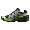 Pánska bežecká obuv Salomon Speedcross 6 Gore-Tex Black/Alloy/Green Gecko
