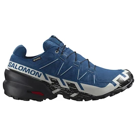 Pánska bežecká obuv Salomon Speedcross 6 Gore-Tex Poseidon/Black/Lunar Rock