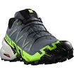 Pánska bežecká obuv Salomon SPEEDCROSS 6 GTX Flint/Grgeck/Black