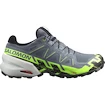 Pánska bežecká obuv Salomon Speedcross 6 Gtx Flint/Grgeck/Black