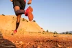 Pánska bežecká obuv Salomon Speedcross