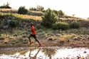 Pánska bežecká obuv Salomon Speedcross