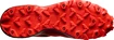 Pánska bežecká obuv Salomon  Spikes