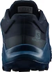 Pánska bežecká obuv Salomon Wildcross GTX Navy Blazer