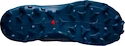 Pánska bežecká obuv Salomon  Wildcross GTX Navy Blazer