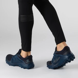 Pánska bežecká obuv Salomon  Wildcross GTX Navy Blazer