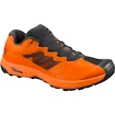 Pánska bežecká obuv Salomon X Alpine PRO oranžová