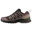 Pánska bežecká obuv Salomon Xa Pro 3D V9 Gore-Tex Black Coffee/Rum Raisin/Olive Night
