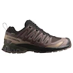 Pánska bežecká obuv Salomon Xa Pro 3D V9 Gore-Tex Black Coffee/Rum Raisin/Olive Night