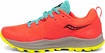 Pánska bežecká obuv Saucony  Peregrine 10