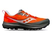 Pánska bežecká obuv Saucony Peregrine 14 Pepper/Bough