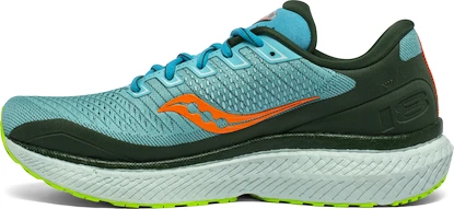 Pánska bežecká obuv Saucony  Triumph 18