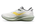 Pánska bežecká obuv Saucony  Triumph 21 Fog/Bough