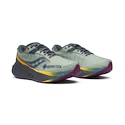 Pánska bežecká obuv Saucony  Triumph 22 Gtx Sage/Carbon