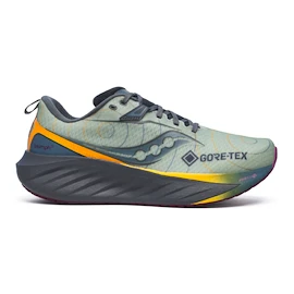Pánska bežecká obuv Saucony Triumph 22 Gtx Sage/Carbon