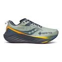 Pánska bežecká obuv Saucony  Triumph 22 Gtx Sage/Carbon  UK 7,5