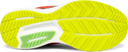 Pánska bežecká obuv Saucony  Triumph