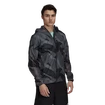 Pánska bunda adidas  Terrex Agravic Graphic 2.5 Layer Rain Jacket Grey Six