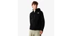 Pánska bunda The North Face  West Basin DryVent Jacket Black