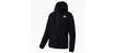 Pánska bunda The North Face  West Basin DryVent Jacket Black