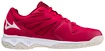 Pánska halová obuv Mizuno  Lightning Star Z6 Junior Red White