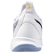 Pánska halová obuv Mizuno  Wave DIMENSION White/Bellwether Blue