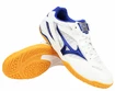 Pánska halová obuv Mizuno  Wave Drive 8 White/Blue