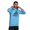 Pánska mikina adidas  Category Graphic Hoodie Blue